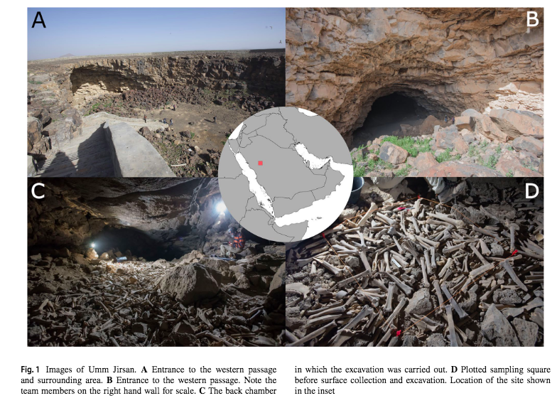 estudio-hienas-huesos