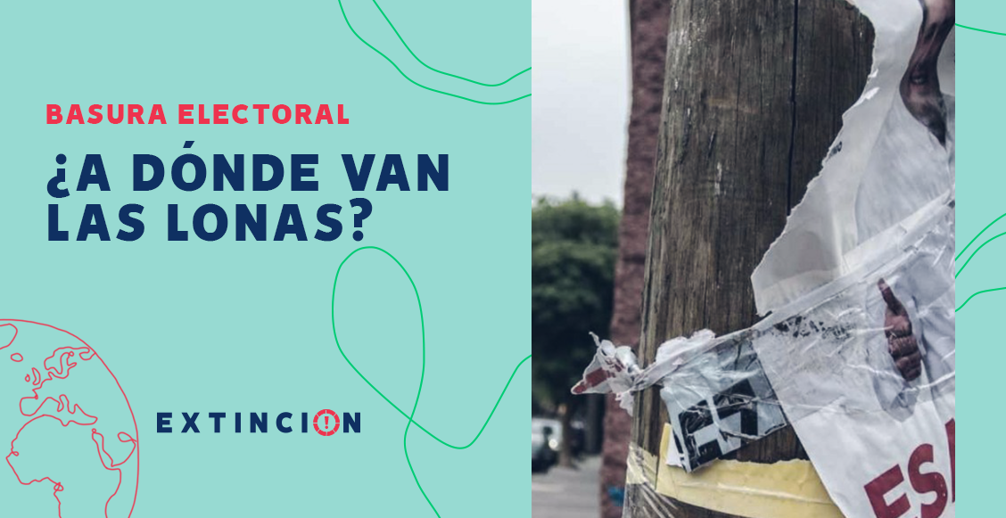 extincion-basura-electoral-adonde-van-las-lonas