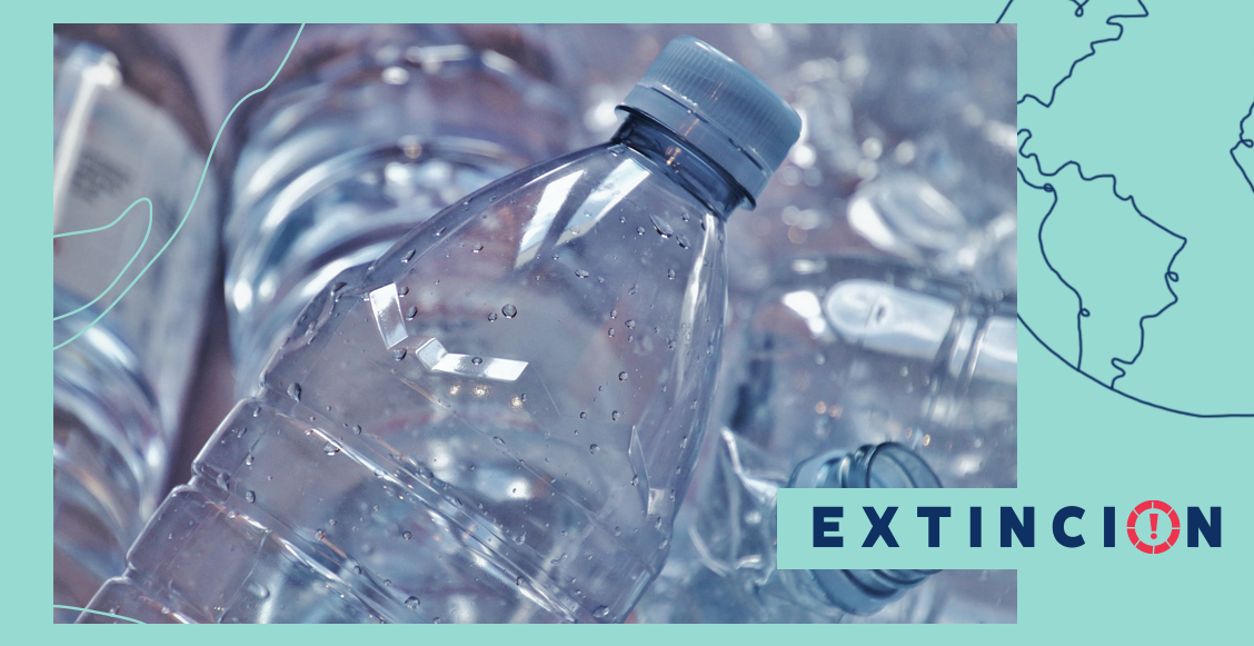 extincion-julio-sin-plastico-un-solo-uso