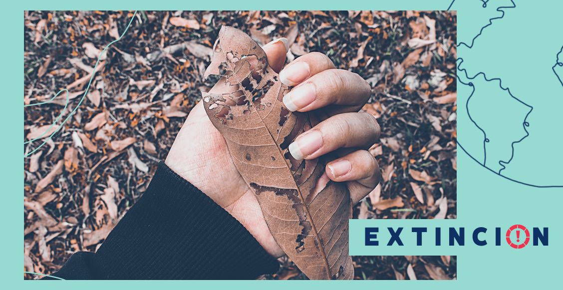 extincion-solastalgia-emociones-emergencia-climatica-ambiental