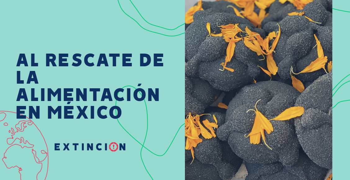 extincion-tianguis-bonito-rescate-alimentacion-mexico