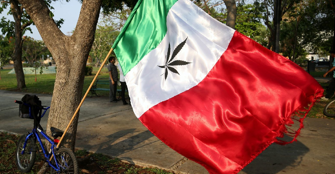 La Iglesia Católica considera que legalizar la marihuana nos haría esclavos de ella