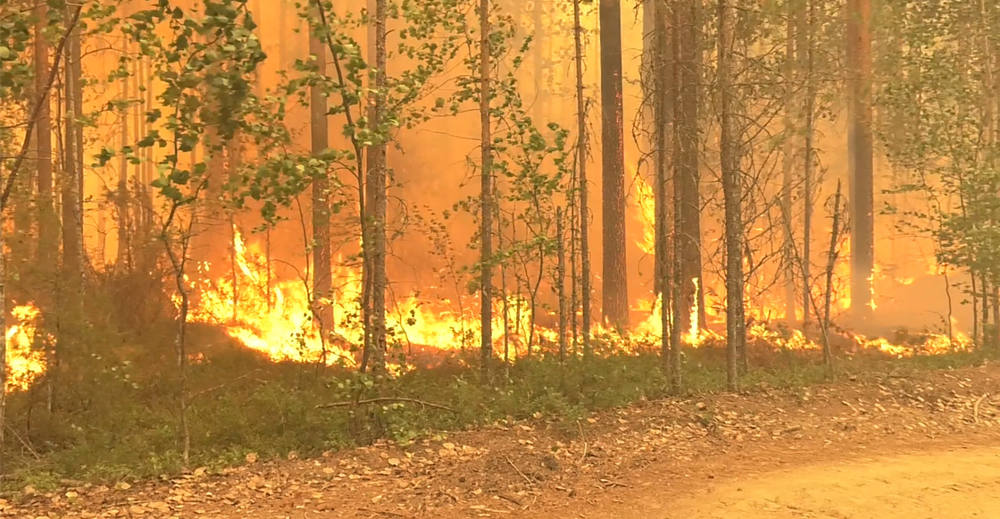 incendios-forestales-record-dioxido-carbono-co2