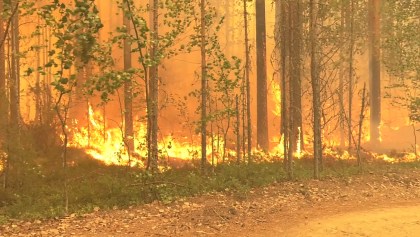 incendios-forestales-record-dioxido-carbono-co2
