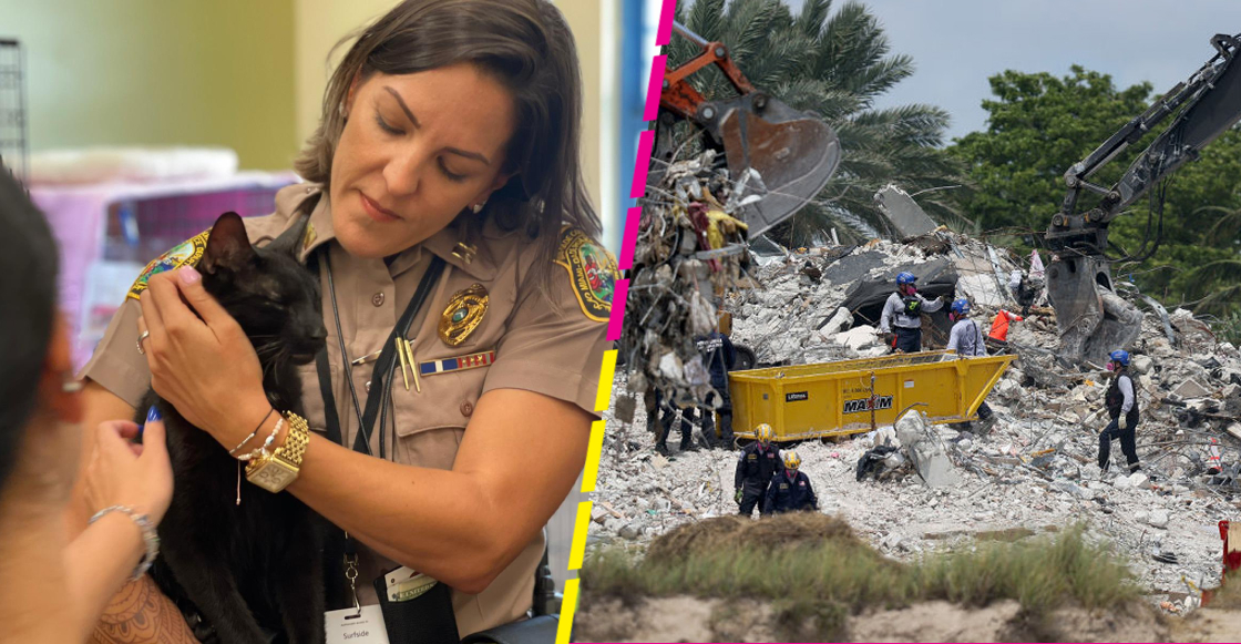 Rescatan a un gatito entre los escombros del edificio de Miami