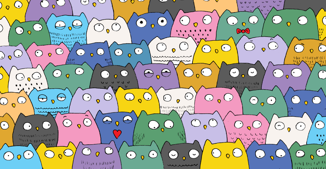 RETO VISUAL: ¿Puedes encontrar al gatito entre el montón de búhos?