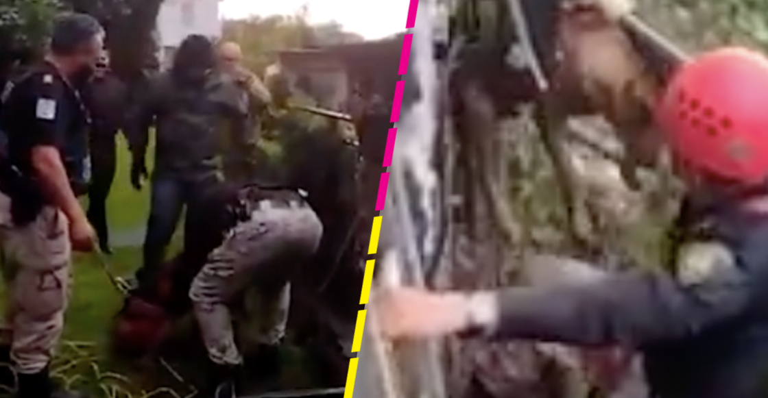 salvan-perrito-barranca-alvaro-obregon