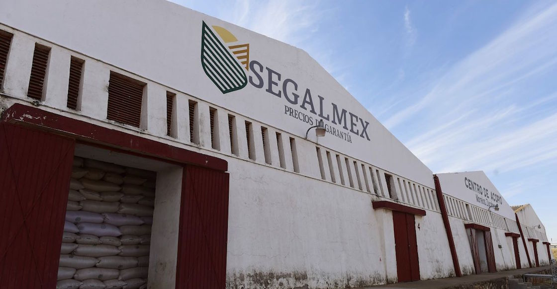 segalmex-contratos-millones-pesos-800-fantasma-amlo-mcci-mexicanos-corrupcion-lonas-costales