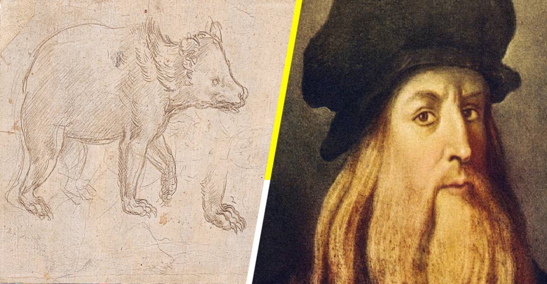 ¡Nos lo ganaron! El boceto ‘Cabeza de un Oso’ de Da Vinci, rompe récord en subasta