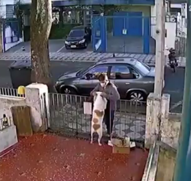 Un sujeto aprovechó la confianza de una perrita para robarle su ropa