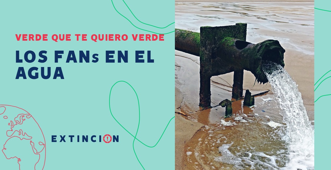 agua fitoplancton toxinas