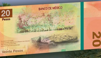 billete-20-pesos-filtracion-50