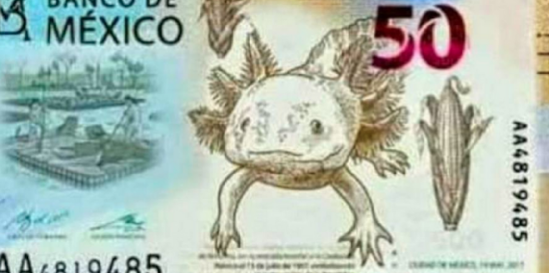  billete-50-pesos