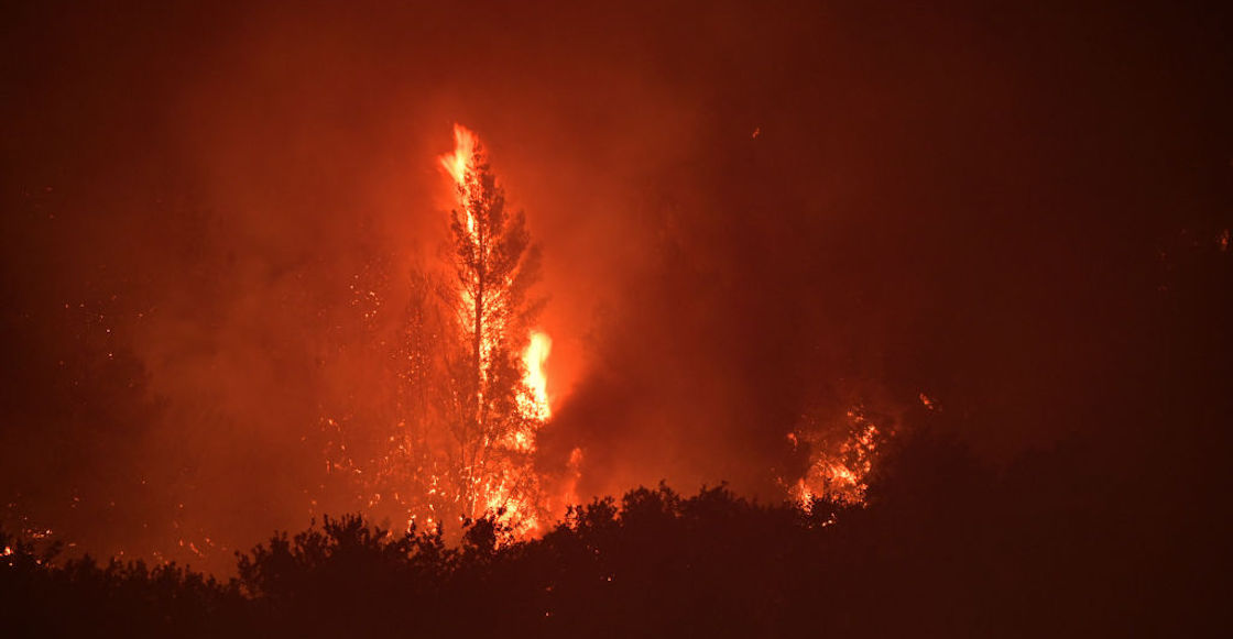 enormes-incendios-atenas-grecia-bosque