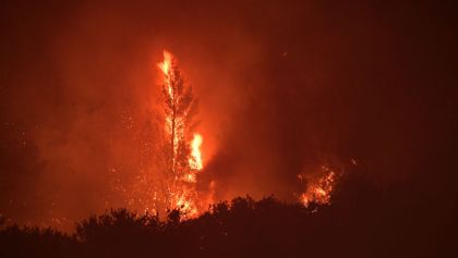 enormes-incendios-atenas-grecia-bosque