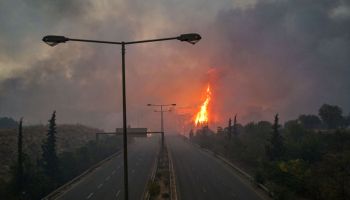 incendios-forestales-record-dioxido-carbono