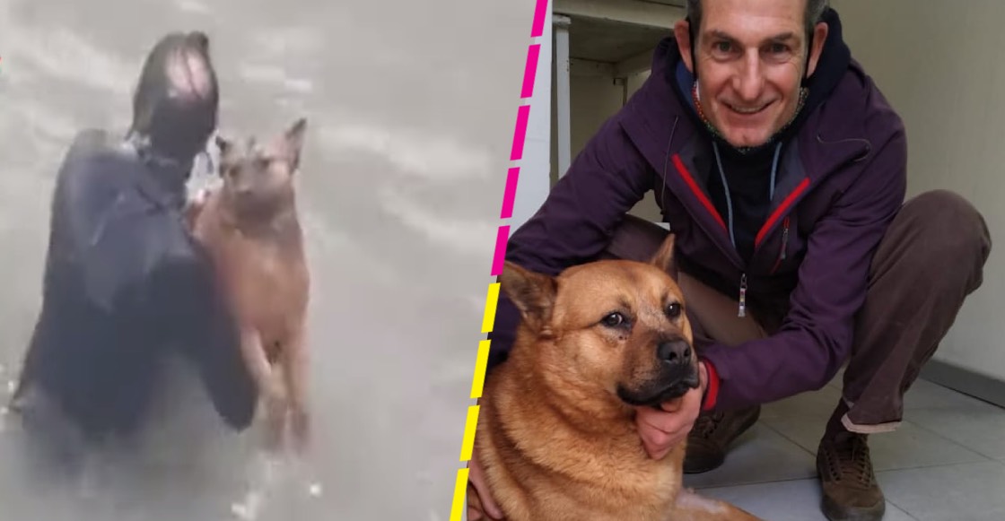¡Qué rifado! Hombre se lanza al mar para rescatar a un perrito que se ahogaba