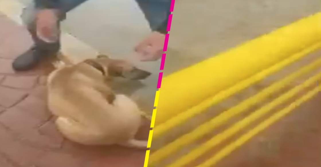 ¡HDLCH! Joven arroja a un perrito a un río en San Luis Potosí