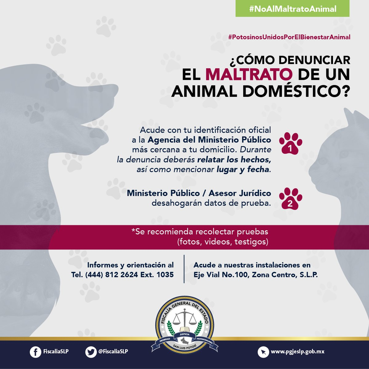 ¡HDLCH! Joven arroja a un perrito a un río en San Luis Potosí