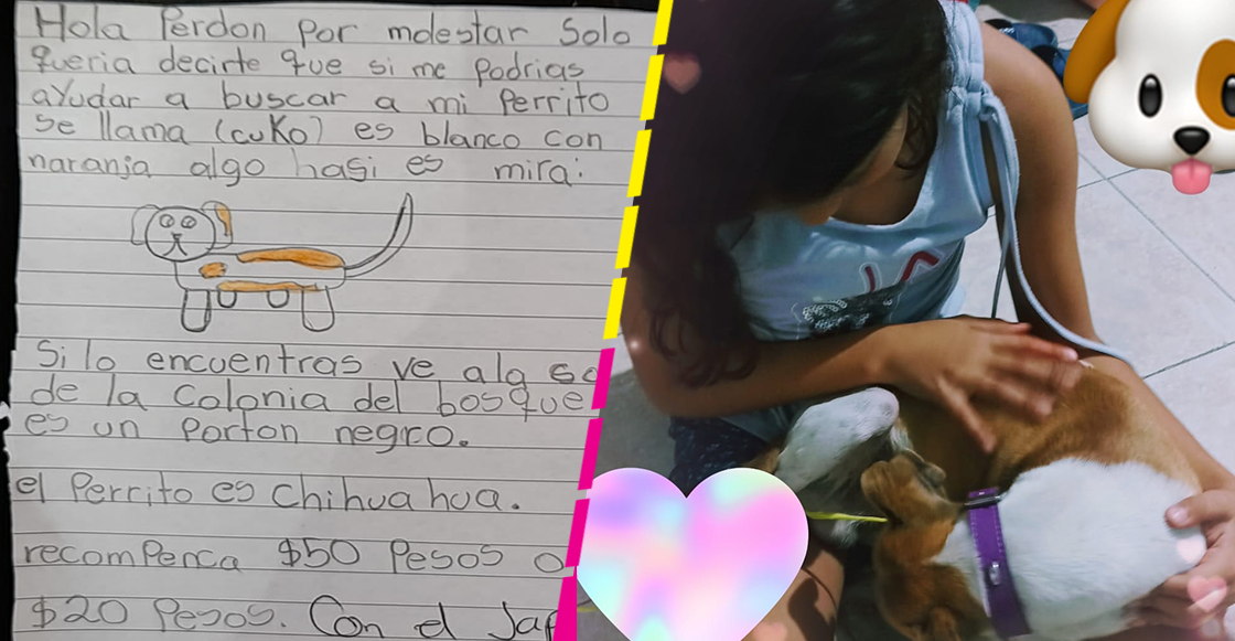 Qué maravilla: Niña buscaba a su perrito con un dibujo y el internet lo ayudó a encontrarlo