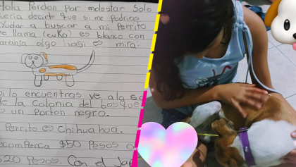 Qué maravilla: Niña buscaba a su perrito con un dibujo y el internet lo ayudó a encontrarlo