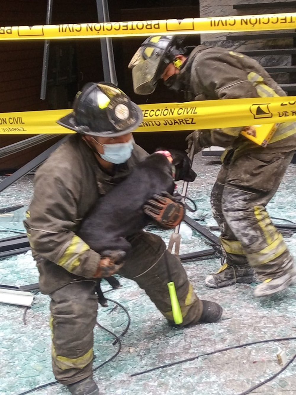 perrito-avenida-coyoacan-explosion-cdmx