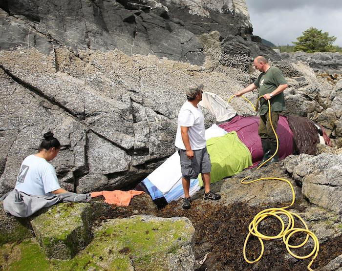 ¡Ternuringa! Orca que queda varada entre las rocas, suplica por ayuda