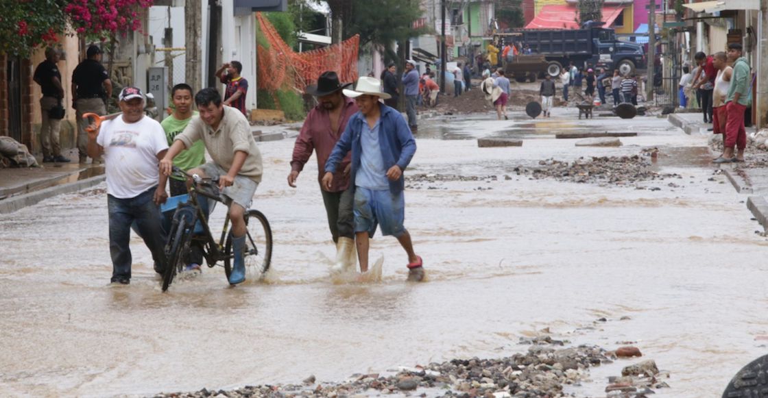 veracruz-censo-damnificados-grace