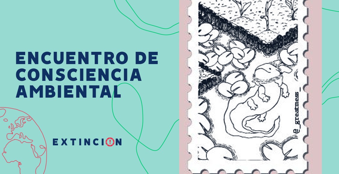 consciencia ambiental