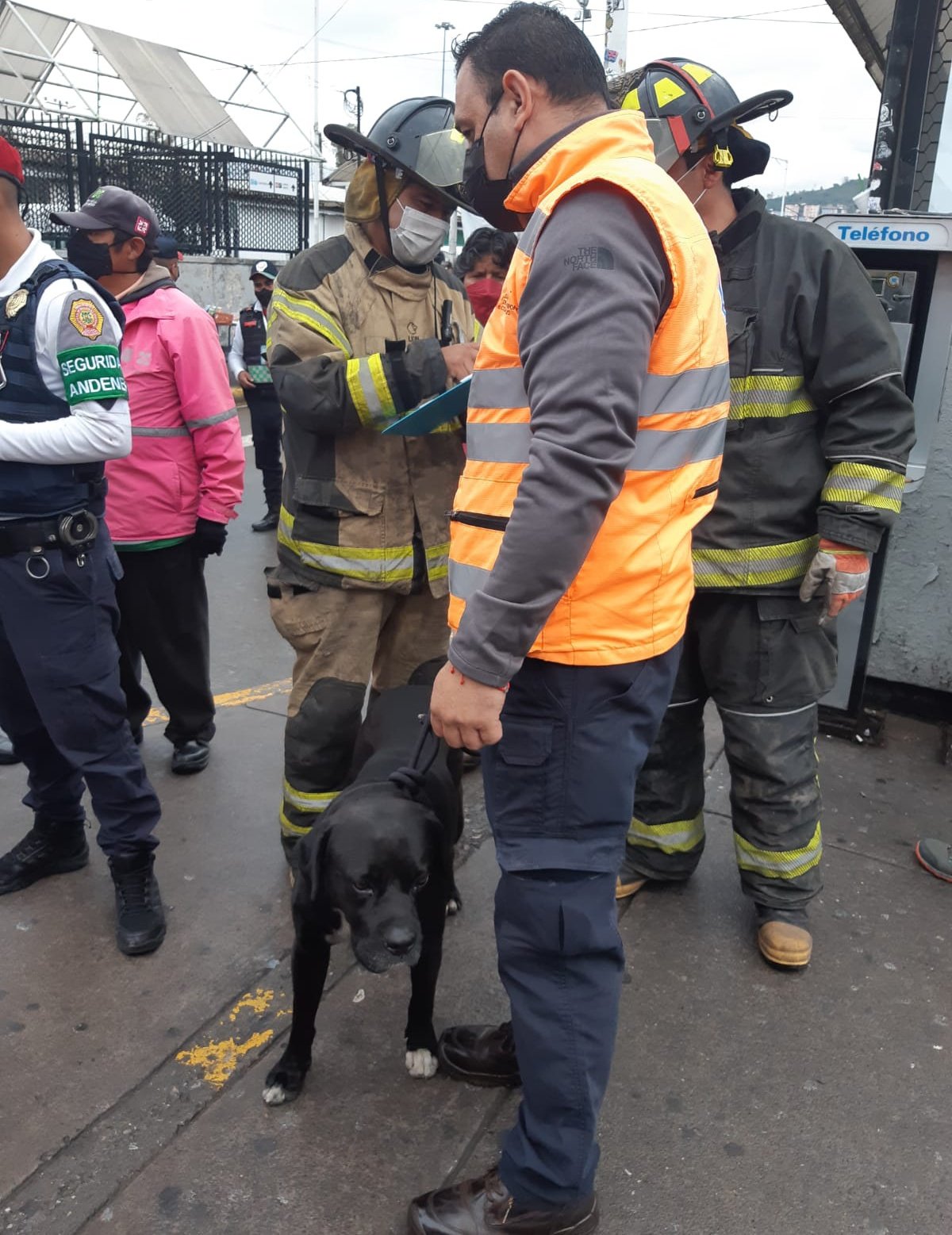 ¡Se rifaron! Bomberos de CDMX rescatan a un perrito que cayó a una fosa pluvial