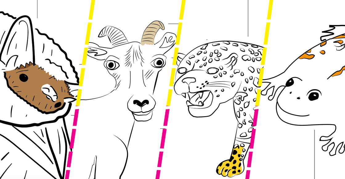 dibujos-ilustraciones-borrego-crikoso-cricoso-feo-profepa-facebook-animales