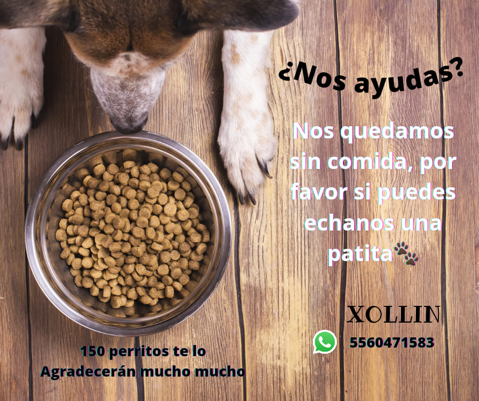 donaciones-xollin