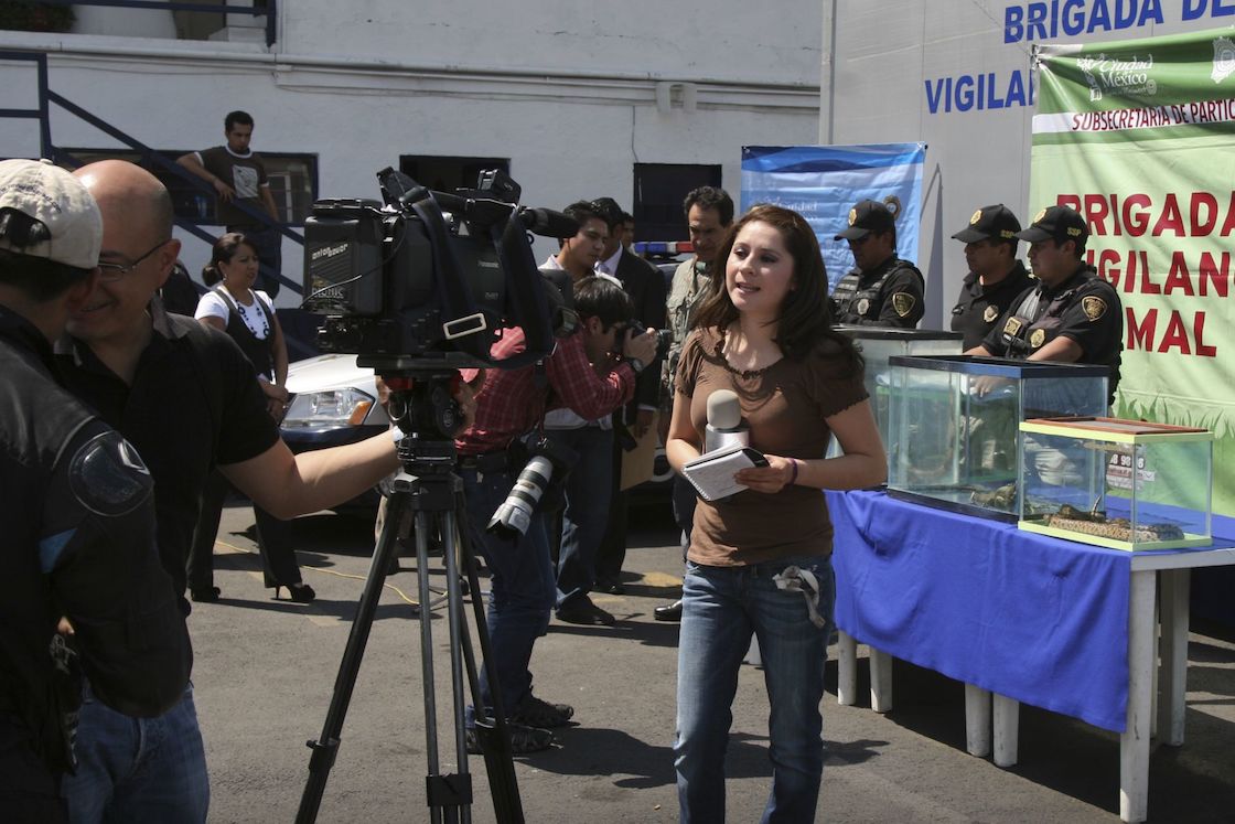 mujeres-trabajo-violencia-inmujeres