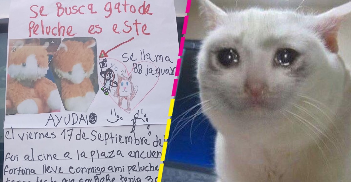"Lo extraño mucho": Niña ofrece recompensa para encontrar a su peluche y se vuelve viral