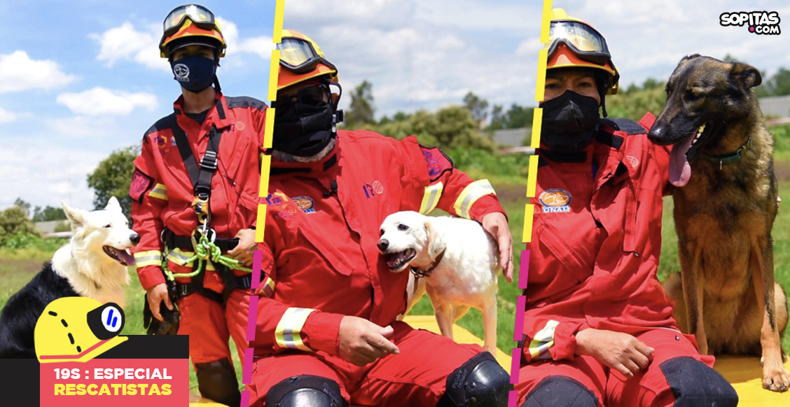perritos-unam-drusso-hueso-foxy