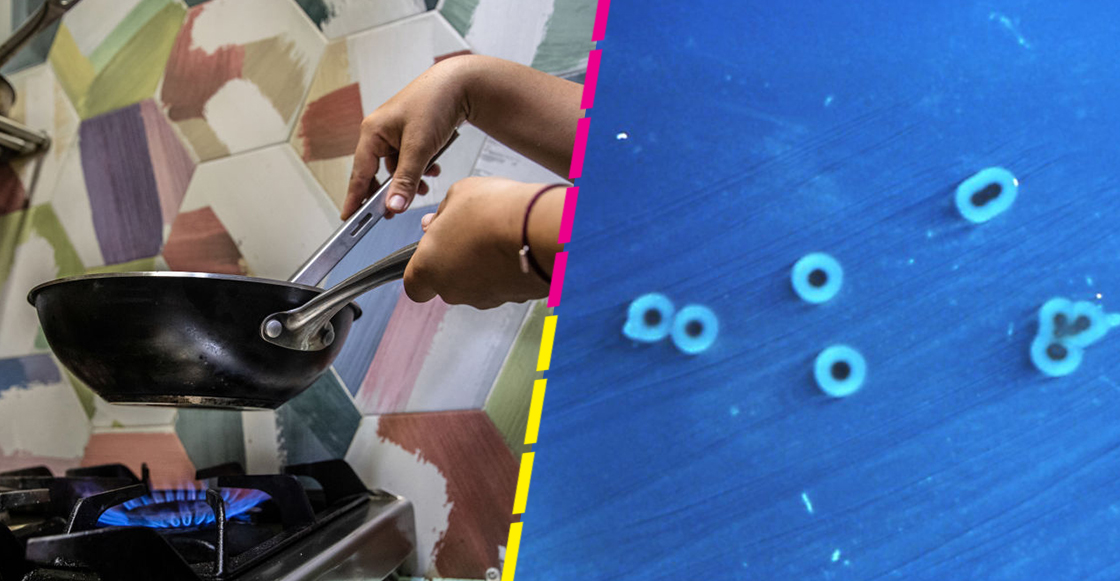 que-es-salmonela-sintomas-prevenir-enfermedad