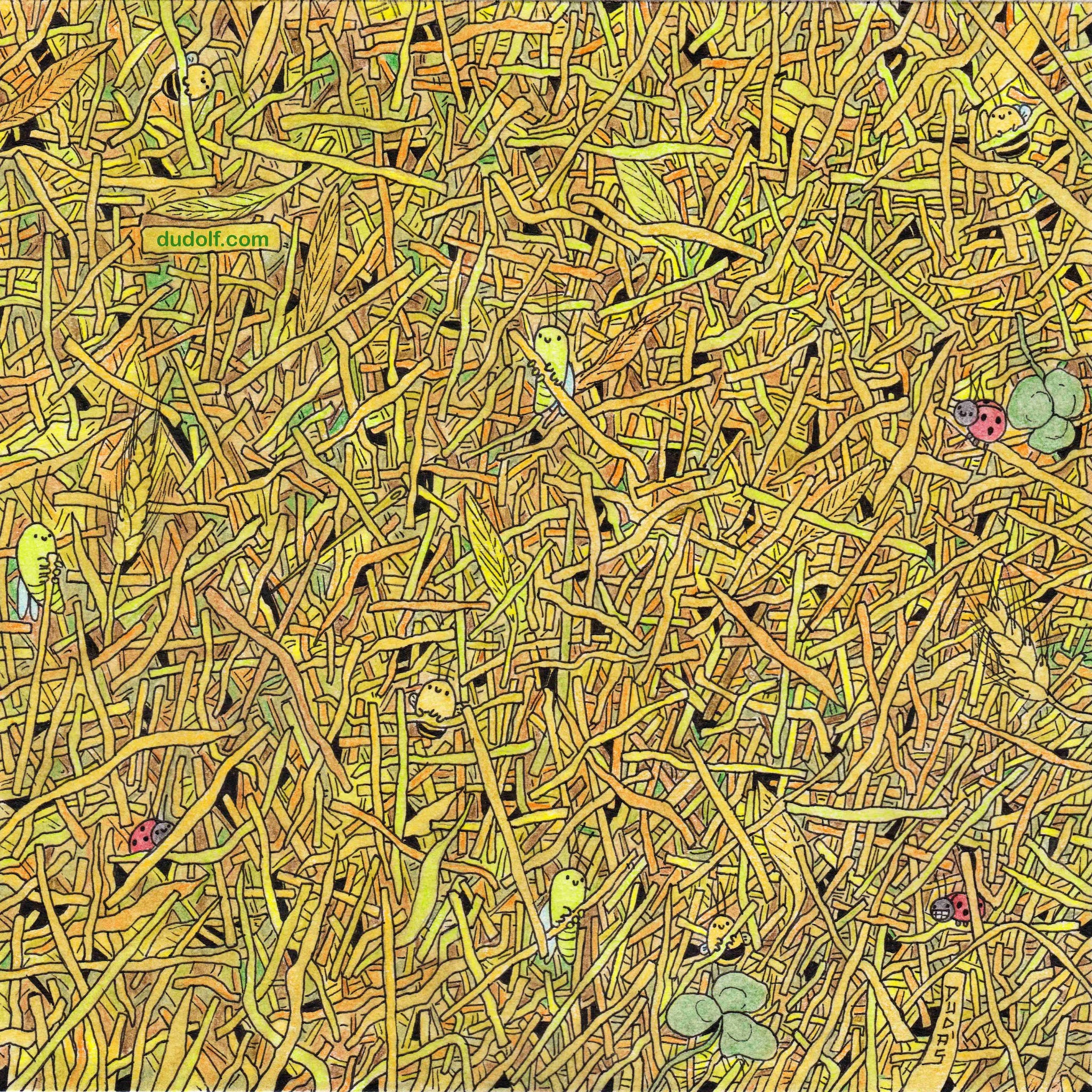 ¿Puedes encontrar la aguja en el pajar en este reto visual?