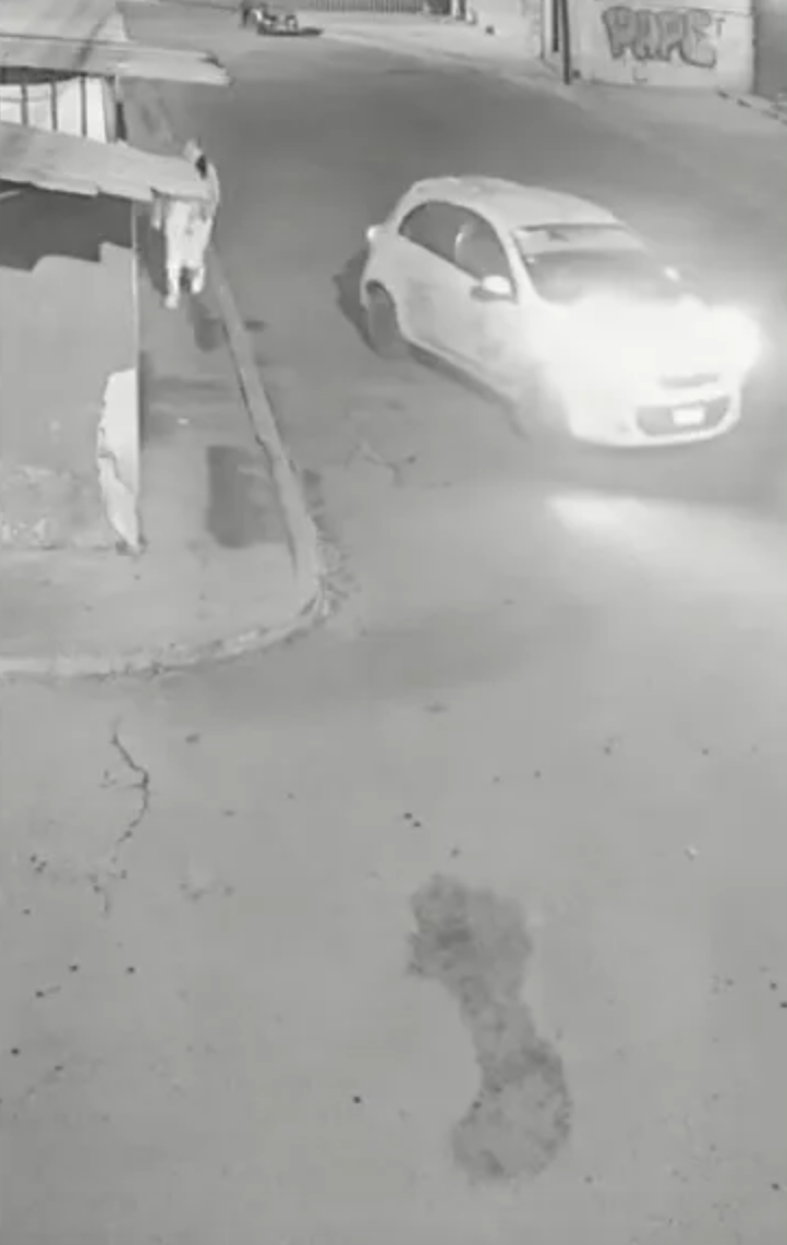 Cámaras captan a taxista que intenta secuestrar a enfermera en Tultepec