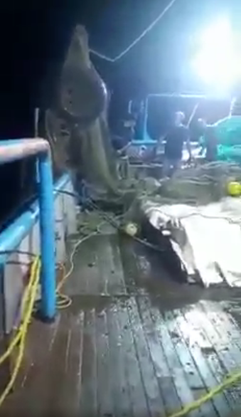 Un barco camaronero de Mazatlán "pescó" un auto con sus redes