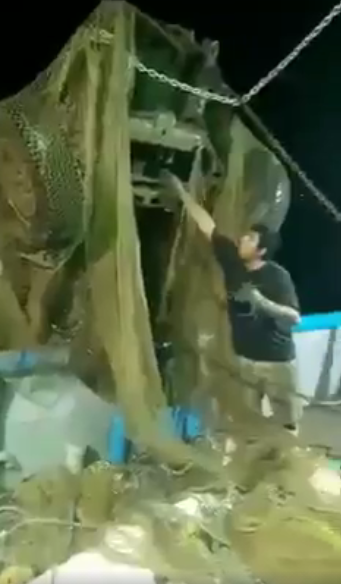Un barco camaronero de Mazatlán "pescó" un auto con sus redes