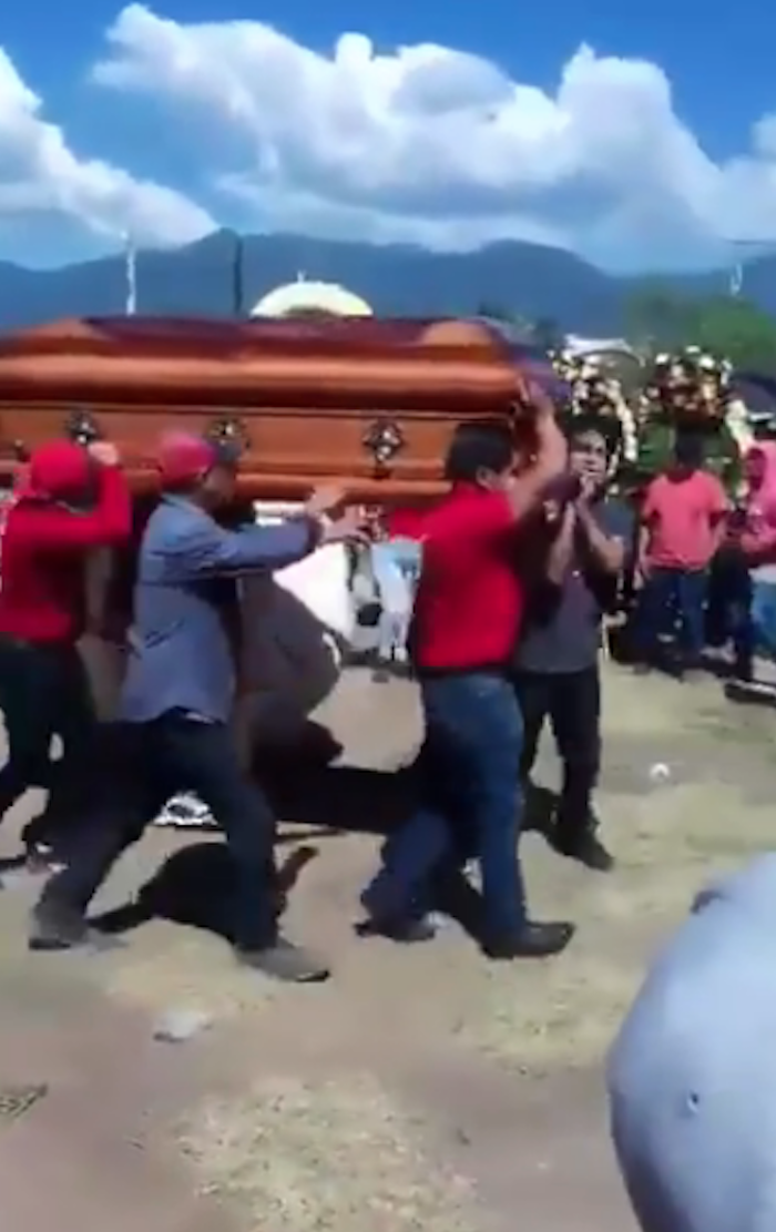  botarga-queso-oaxaca-video