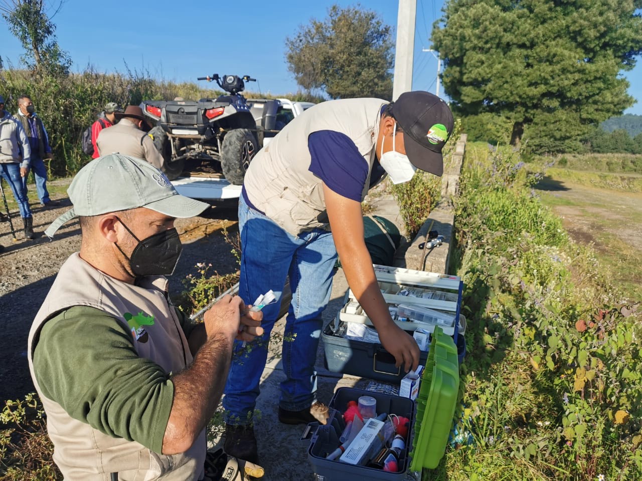 busqueda-lobo-estado-mexico