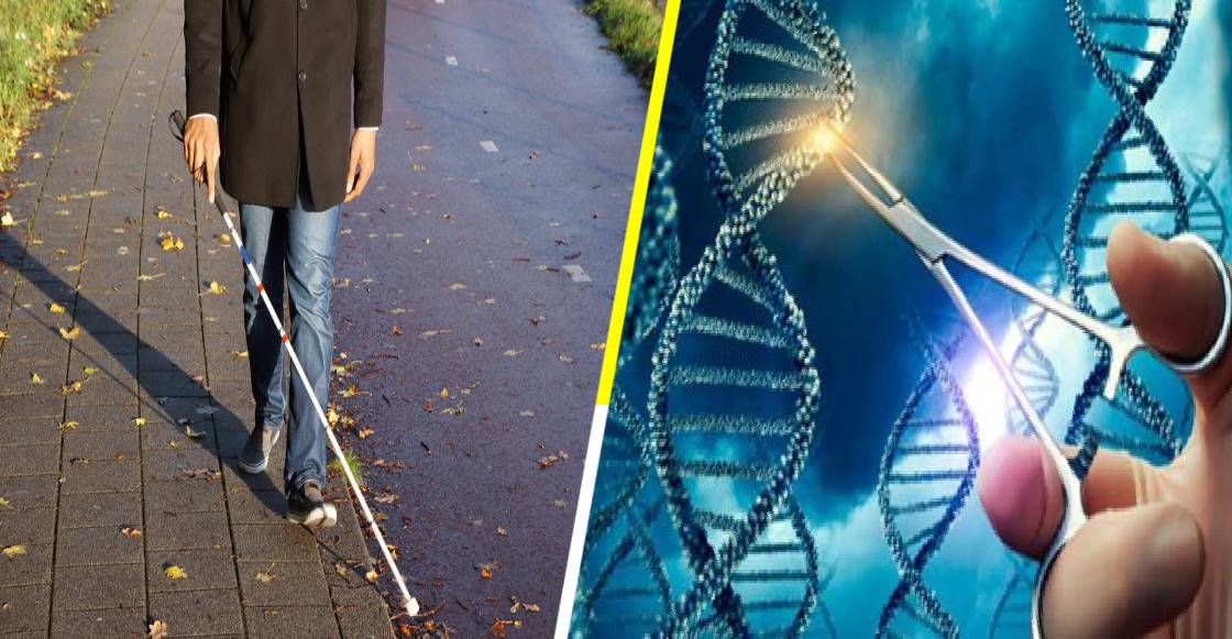 Pacientes con pérdida de visión recuperan la vista con tecnología CRISPR