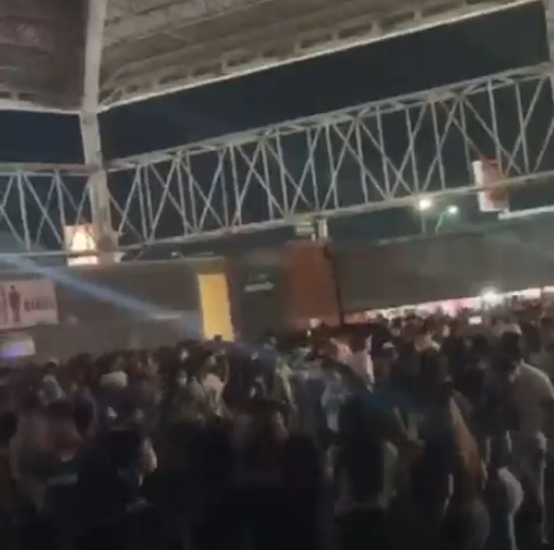 expo-guadalupe-estampida