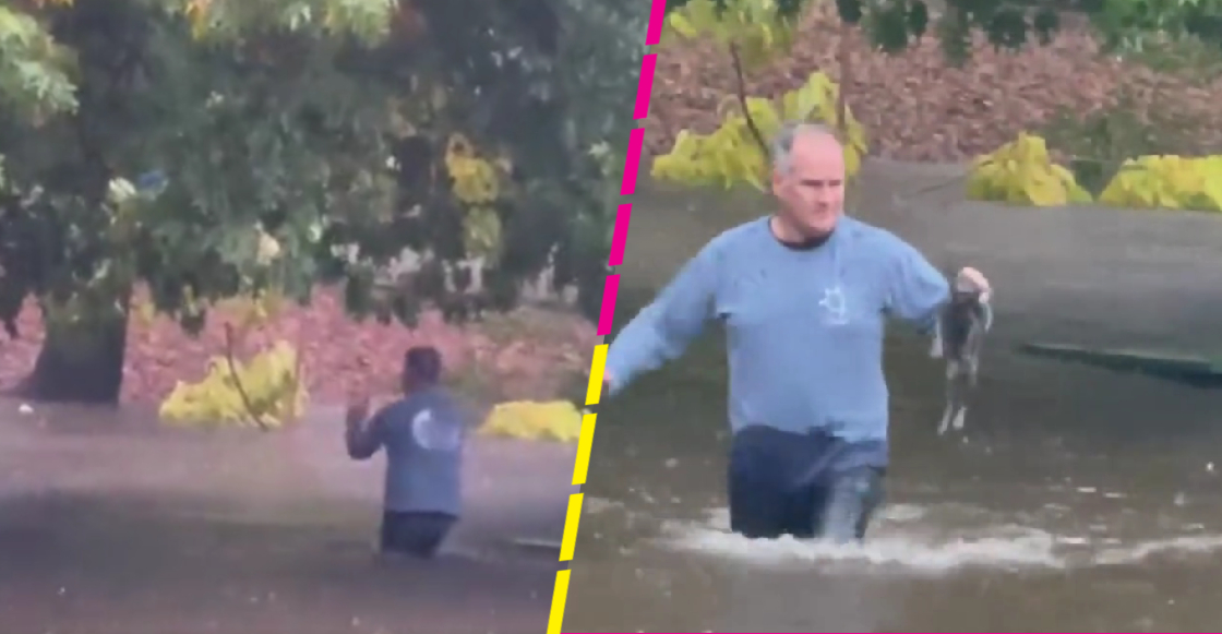 Este hombre rescató a un gatito de morir ahogado en una inundación