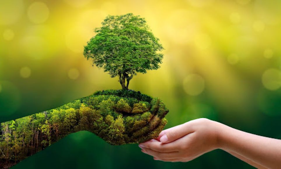 ¡Pónganse pilas! Gozar del medio ambiente limpio ya es parte de los derechos humanos