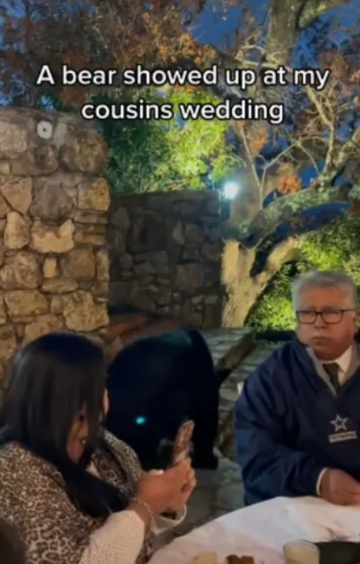 Se invitó solo: Oso irrumpe boda en Nuevo León e invade mesa de invitados