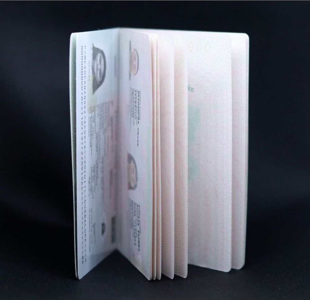 pasaporte-digital-sre-mexico