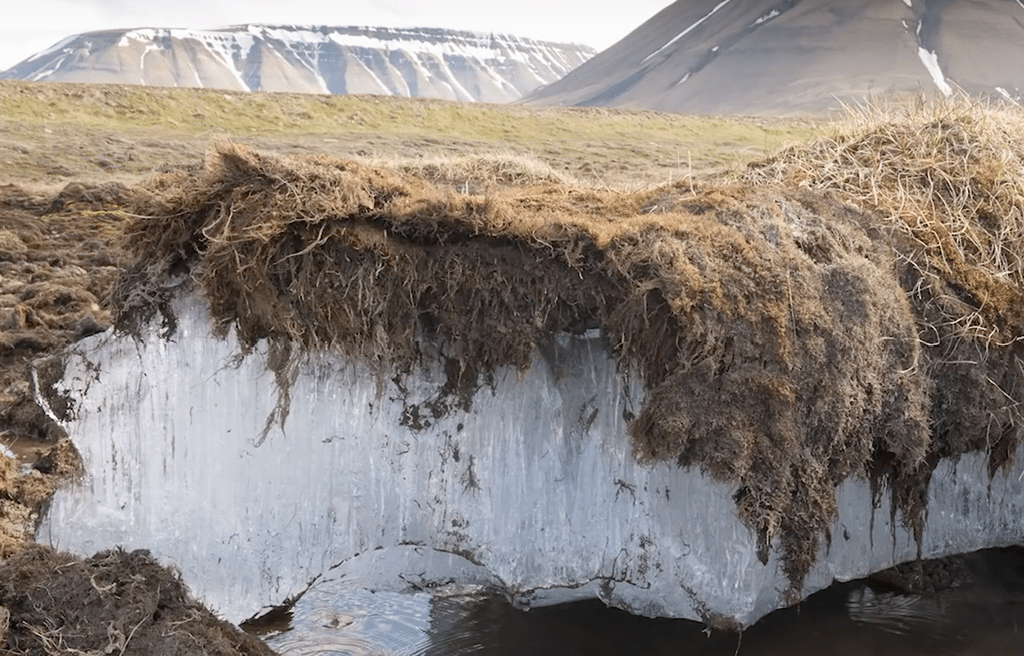 permafrost-artico