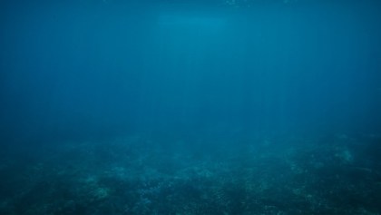 profundidades-oceano